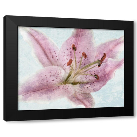 Lily Love 2 Black Modern Wood Framed Art Print by Prime, Marcus