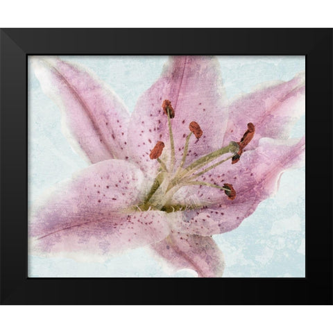 Lily Love 2 Black Modern Wood Framed Art Print by Prime, Marcus
