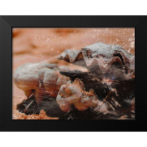 Shiny Oyster 1 Black Modern Wood Framed Art Print by Prime, Marcus
