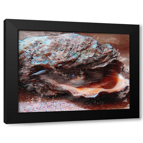 Shiny Oyster 2 Black Modern Wood Framed Art Print with Double Matting by Prime, Marcus