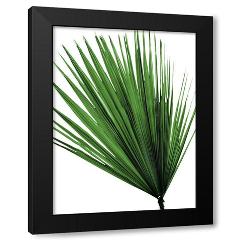 Vacation Desires 5 Black Modern Wood Framed Art Print with Double Matting by Prime, Marcus