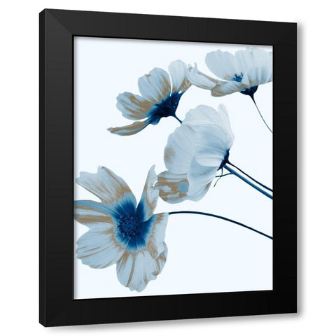 Metallic Shine 1 Black Modern Wood Framed Art Print with Double Matting by Prime, Marcus