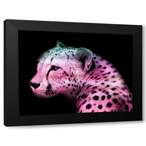 Fun Cheetah 1 Black Modern Wood Framed Art Print by Prime, Marcus