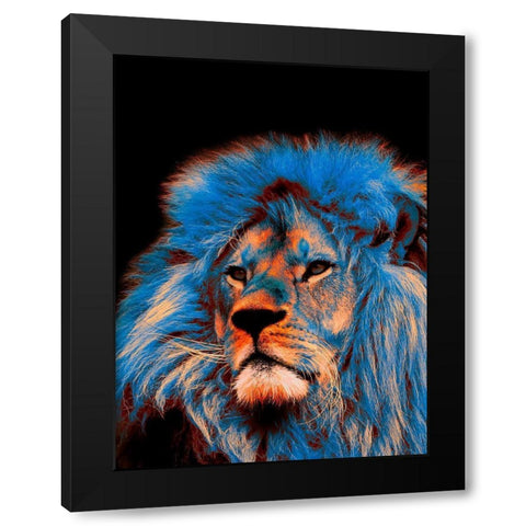 Pride Rock 1 Black Modern Wood Framed Art Print with Double Matting by Prime, Marcus