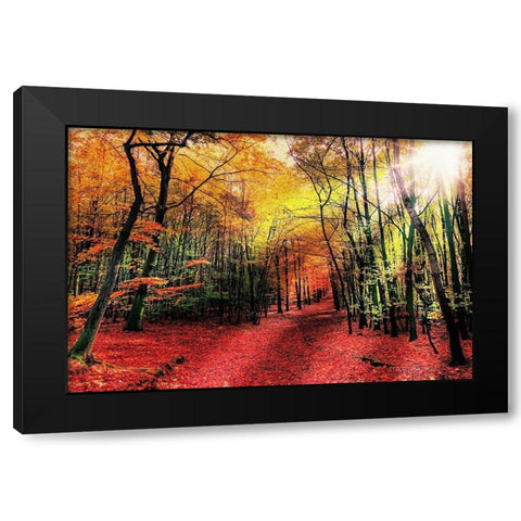 Hansels Adventure 1 Black Modern Wood Framed Art Print with Double Matting by Prime, Marcus