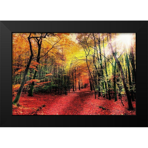 Hansels Adventure 1 Black Modern Wood Framed Art Print by Prime, Marcus