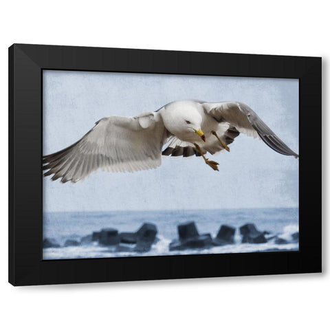 Fly Free 1 Black Modern Wood Framed Art Print by Prime, Marcus
