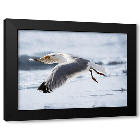 Fly Free 2 Black Modern Wood Framed Art Print by Prime, Marcus