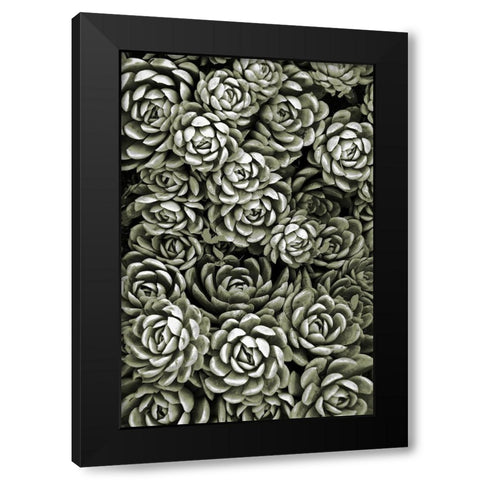 Botanical Farm 1 Black Modern Wood Framed Art Print with Double Matting by Prime, Marcus