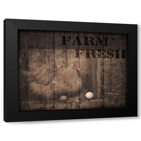 Farm Fresh Chicken 1 Black Modern Wood Framed Art Print by Prime, Marcus