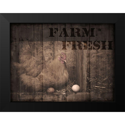 Farm Fresh Chicken 1 Black Modern Wood Framed Art Print by Prime, Marcus