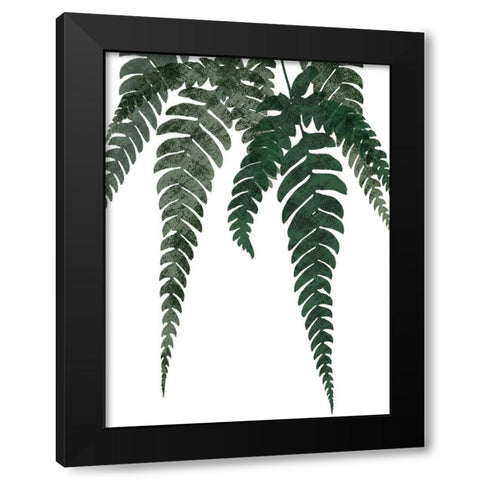 Evergreen Bliss 1 Black Modern Wood Framed Art Print by Prime, Marcus
