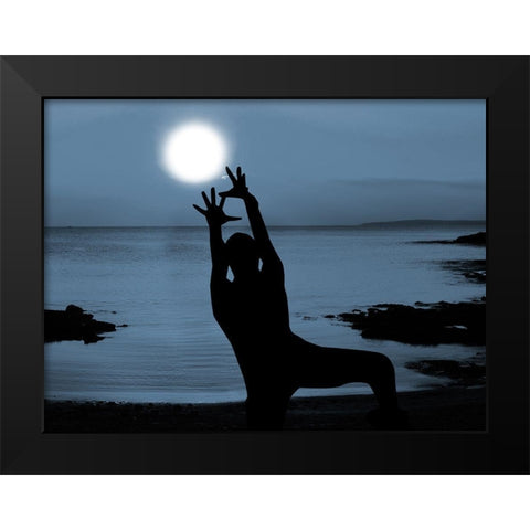 Shoot For The Sun 1 Black Modern Wood Framed Art Print by Prime, Marcus