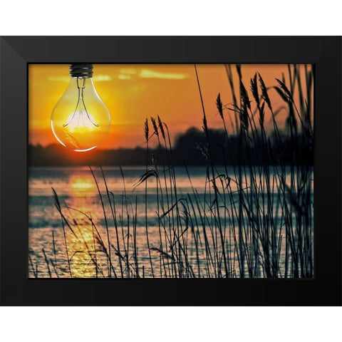 Morning Light 1 Black Modern Wood Framed Art Print by Prime, Marcus