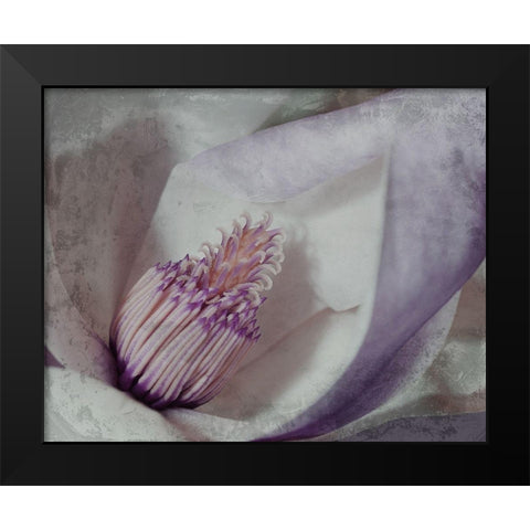 Lavender Explosion 4 Black Modern Wood Framed Art Print by Prime, Marcus
