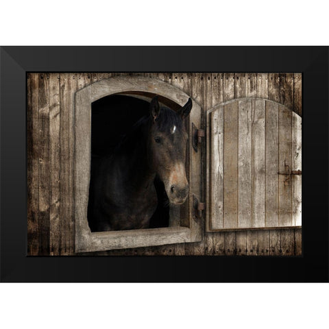 Loving Peek 1 Black Modern Wood Framed Art Print by Prime, Marcus