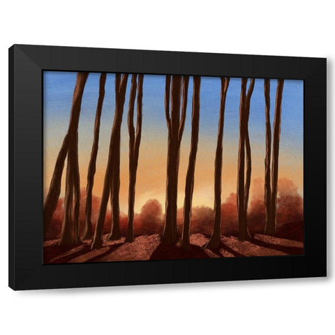 Creeping Shadows 1 Black Modern Wood Framed Art Print with Double Matting by Prime, Marcus