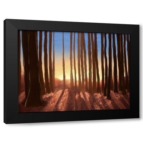 Creeping Shadows 2 Black Modern Wood Framed Art Print by Prime, Marcus