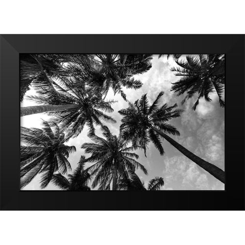 Passerby Palms 2 Black Modern Wood Framed Art Print by Prime, Marcus
