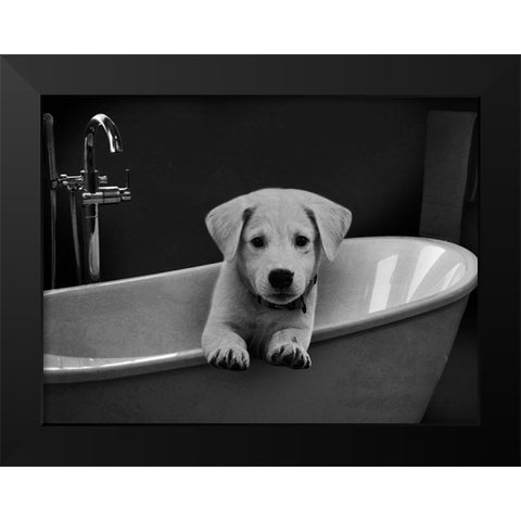 Bathroom Friend 1 Black Modern Wood Framed Art Print by Prime, Marcus