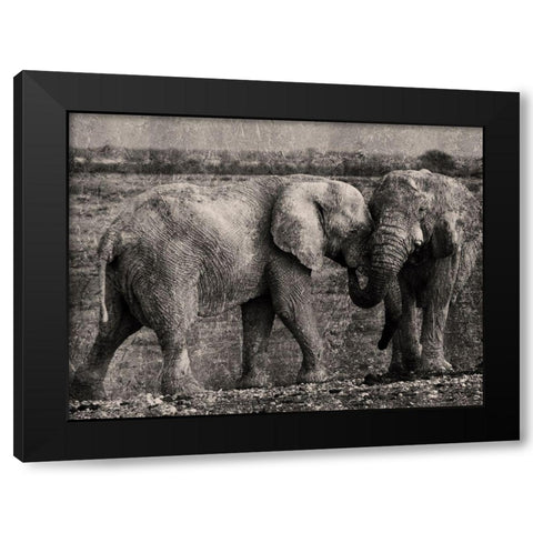 Massive Affection Black Modern Wood Framed Art Print with Double Matting by Prime, Marcus