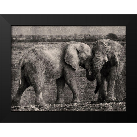 Massive Affection Black Modern Wood Framed Art Print by Prime, Marcus