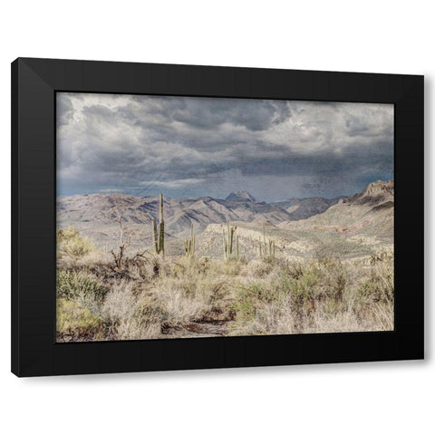 Desert Oasis Black Modern Wood Framed Art Print by Prime, Marcus