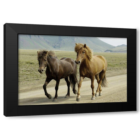 Buddy Gallop Black Modern Wood Framed Art Print by Prime, Marcus