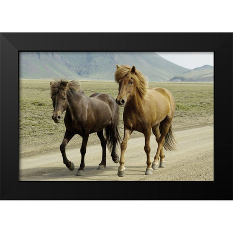 Buddy Gallop Black Modern Wood Framed Art Print by Prime, Marcus