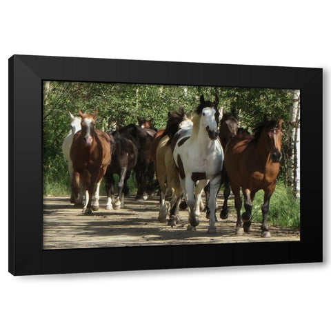 Galloping Friends Black Modern Wood Framed Art Print with Double Matting by Prime, Marcus