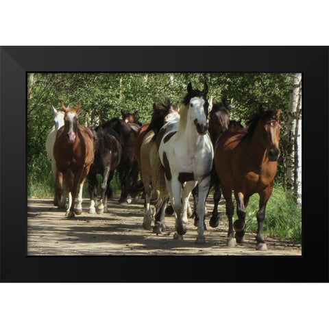 Galloping Friends Black Modern Wood Framed Art Print by Prime, Marcus