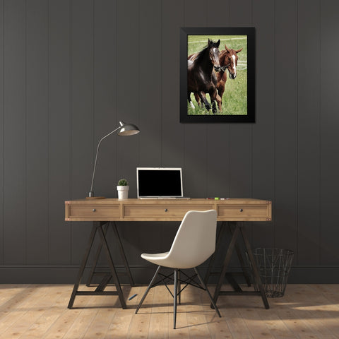 Free Spirits 1 Black Modern Wood Framed Art Print by Prime, Marcus