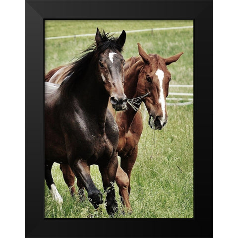 Free Spirits 1 Black Modern Wood Framed Art Print by Prime, Marcus