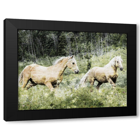 Free Spirits 2 Black Modern Wood Framed Art Print with Double Matting by Prime, Marcus