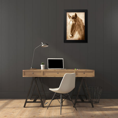 Wild Stallion 1 Black Modern Wood Framed Art Print by Prime, Marcus