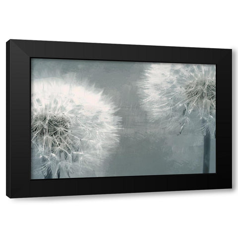 Moonlit Dandelions 1 Black Modern Wood Framed Art Print with Double Matting by Prime, Marcus