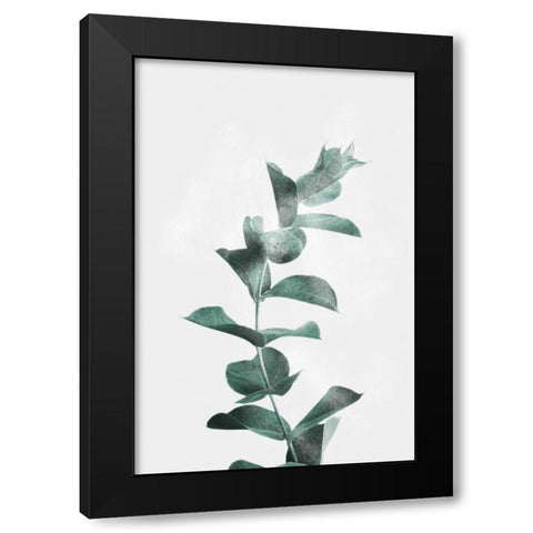 Misty Eucalyptus Black Modern Wood Framed Art Print with Double Matting by Prime, Marcus