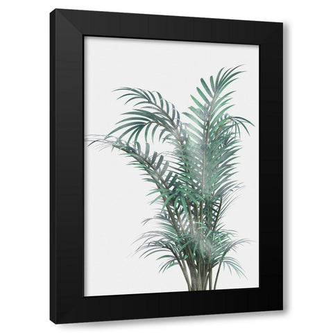 Misty Fern Black Modern Wood Framed Art Print with Double Matting by Prime, Marcus