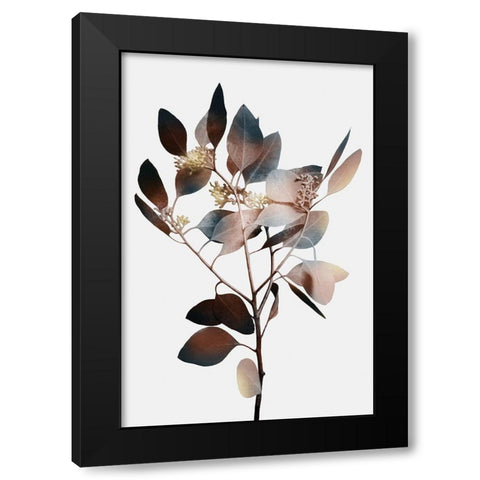 Autumn Eucalyptus 1 Black Modern Wood Framed Art Print by Prime, Marcus
