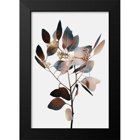 Autumn Eucalyptus 1 Black Modern Wood Framed Art Print by Prime, Marcus