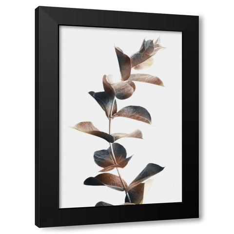 Autumn Eucalyptus 2 Black Modern Wood Framed Art Print by Prime, Marcus
