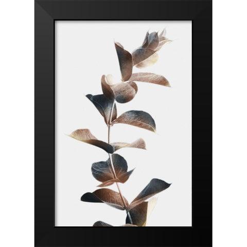 Autumn Eucalyptus 2 Black Modern Wood Framed Art Print by Prime, Marcus