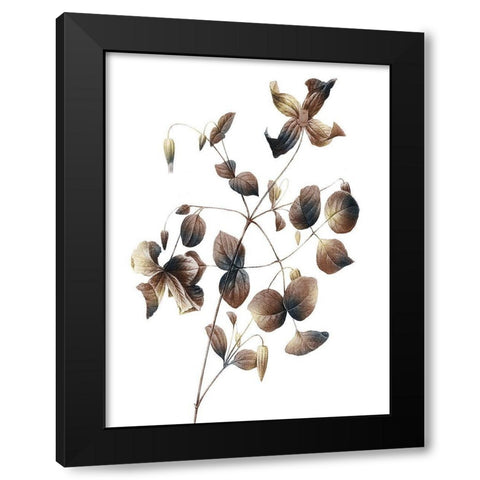 Autumn Balance 2 Black Modern Wood Framed Art Print by Prime, Marcus