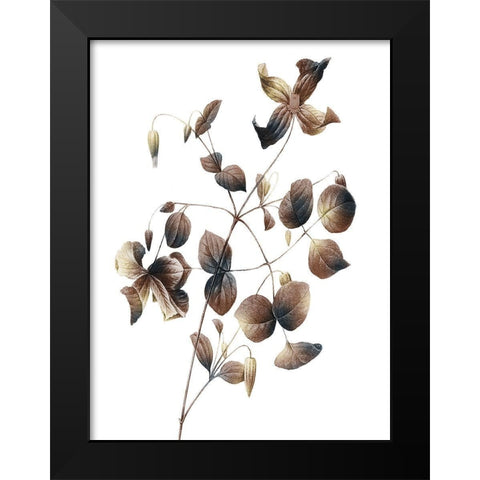 Autumn Balance 2 Black Modern Wood Framed Art Print by Prime, Marcus