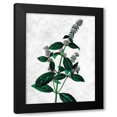 Striking Growth Black Modern Wood Framed Art Print by Prime, Marcus