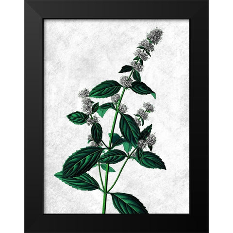 Striking Growth Black Modern Wood Framed Art Print by Prime, Marcus