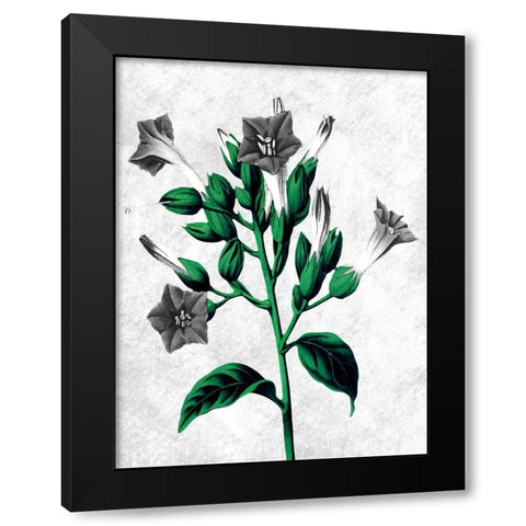 Striking Growth 2 Black Modern Wood Framed Art Print by Prime, Marcus