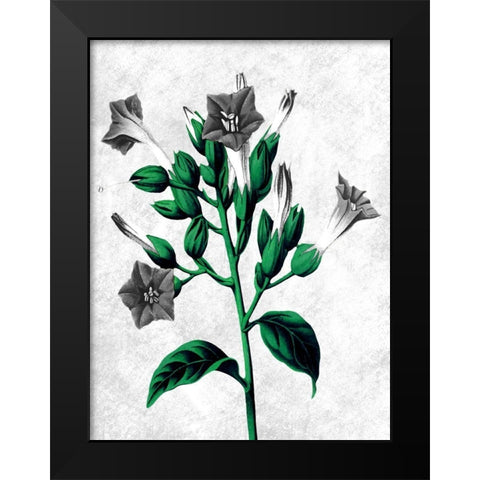Striking Growth 2 Black Modern Wood Framed Art Print by Prime, Marcus