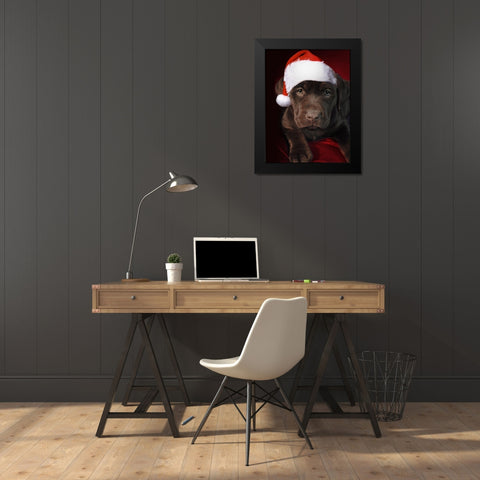 Christmas Pup 1 Black Modern Wood Framed Art Print by Prime, Marcus