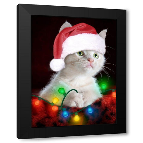 Christmas Kitten Black Modern Wood Framed Art Print by Prime, Marcus